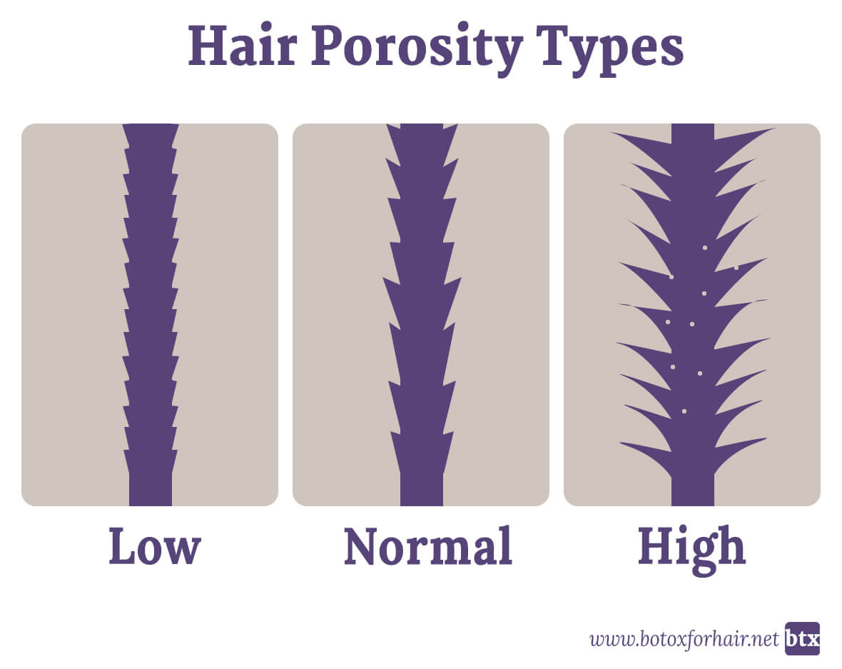 Hair Porosity Chart